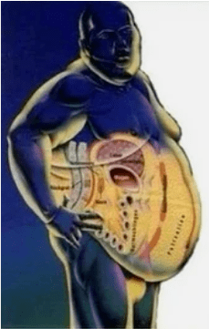 Oil or muscles